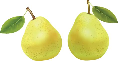 Pear, Fruit, Nature PNG Photo