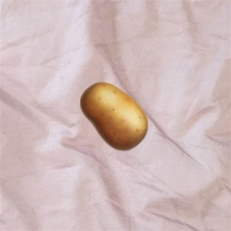 Check spelling or type a new query. A Potato Flew Around My Room Song Lyrics : Full Song Jersy ...