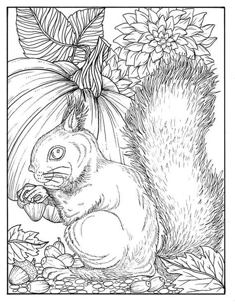 Download and print out this farmer and the fall harvest coloring page. Fall Squirrel Digital Coloring Page Digi Stamp ...