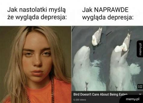 Najlepsze memy, śmieszne filmiki, gify i wiele więcej z tagu #depresja. Memy depresja / depresja memy (#depresja) - Memy.pl