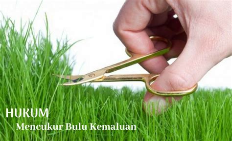 Memotong kuku dan rambut / bulu badan. Hukum Mencukur Bulu Kemaluan serta Manfaatnya Bagi Kesehatan