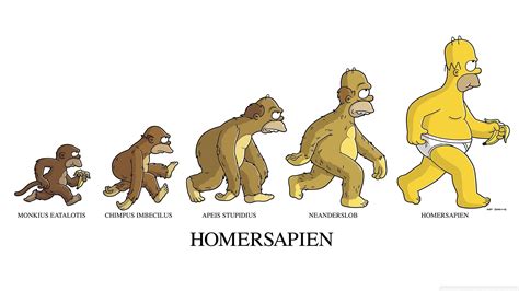 Home » » cartoon simpsons art hd wallpaper. Les Simpsons Fond d'écran HD | Arrière-Plan | 2560x1440 ...