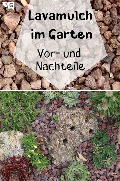 Lava für garten und boden verbesserung. Lavamulch im Garten verwenden | Lavamulch, Lavasteine ...