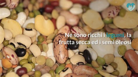 Il calcio introdotto con gli alimenti viene assorbito nell'intestino tenue. Alimenti ricchi di calcio - YouTube