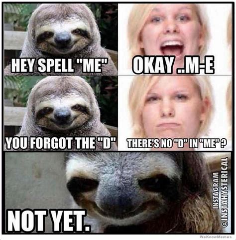 Последние твиты от funny memes & dirty jokes (@memesadj). 33 Funny Whisper Sloth Meme Will Make Smile On Your Face ...