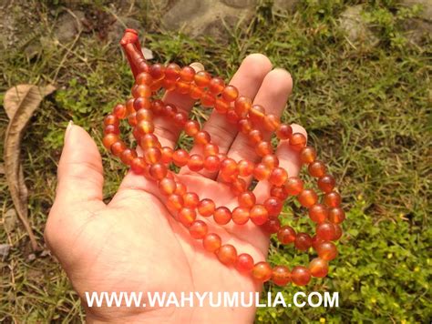 Maybe you would like to learn more about one of these? Tasbih Batu Akik Yaman - Carnelian 99(Kode:477) - Wahyu Mulia