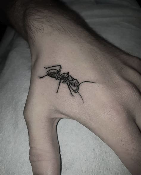 Tattoos, body piercing and branding all fall under the you can become a tattooist in missouri by apprenticing yourself to a licensed tattoo artist, putting in 300 hours of work and training and at least 50 procedures. 24 Creative Ant Tattoo Ideas and Meanings | TattooAdore | Ant tattoo, Tattoos, Ants