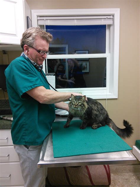 Very very helpful and professional. Clinic pets needs wellness exams too! | Clinic, Pets, Decor