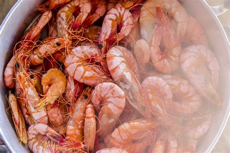 Cucumber, zucchini, soy sauce, asparagus, sriracha, cooked shrimp and 1 more. Cold Cooked Shrimp / 1991 Press Photo Cold Cooked Shrimp ...