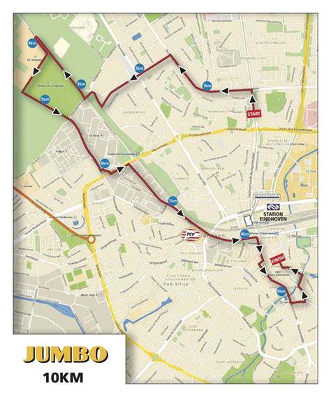 There are also wheelchair divisions. 37-й Эйндховенский марафон (Marathon Eindhoven powered by ...