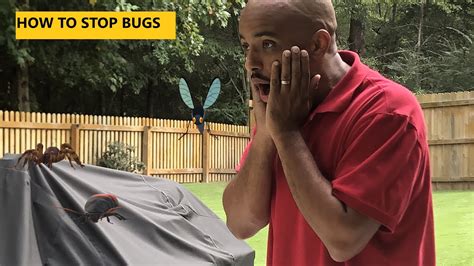 Earwigs thrive in damp conditions, either in your garden or in musty corners of your home. How to get rid of bugs in your yard - YouTube