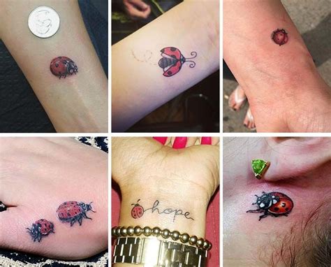 Nº of tattoos 3 size 0.4 in / 1 cm (height) transforming from a larva to a beautiful insect, the ladybug is traditionally seen as a sign of good luck. Pin en Dövme modelleri