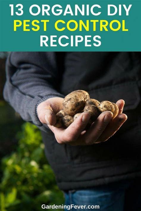 Check spelling or type a new query. 13 Organic DIY Pest Control Recipes | Gardening Fever. Do Your Own Pest Control. If you are a ...