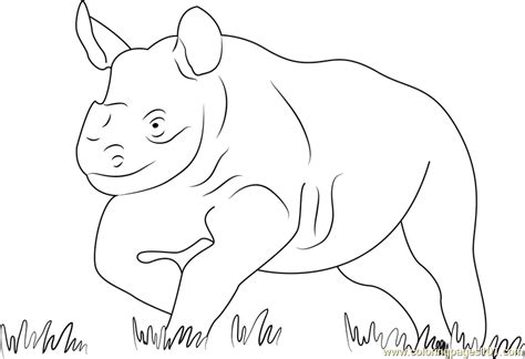 Running Baby Rhino Coloring Page - Free Rhinoceros Coloring Pages : ColoringPages101.com