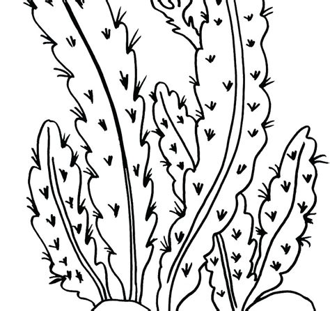 Landscapes coloring pages for adults justcolor. Desert Plants Coloring Pages at GetColorings.com | Free ...