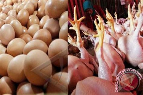 Harga telur ayam hari ini senin 21 juni 2021 : Jelang Lebaran, Daging ayam di Pasar Bogor Rp45.000/Kg ...