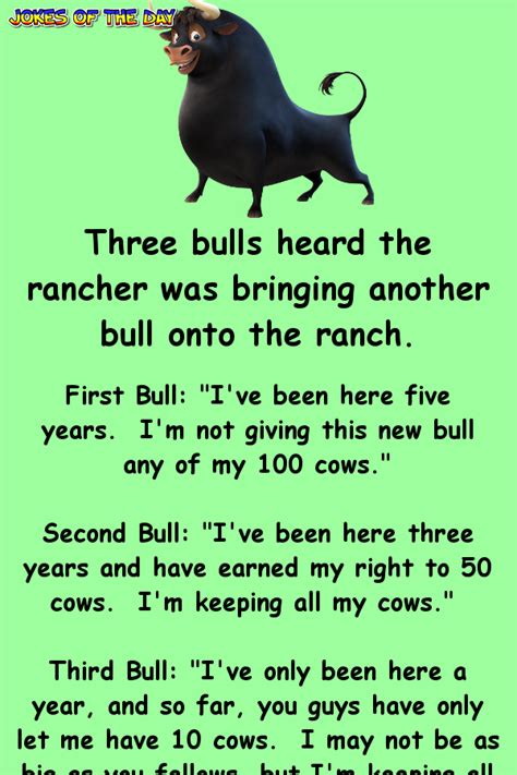 I told her to get out of my fort. Three bulls heard the rancher was bringing another bull ...