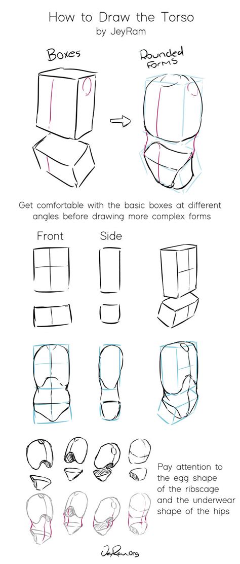 Deviantart is the world's largest online social community for artists and art enthusiasts, allowing. Torso Anatomy Drawing : This isn't reference sheet for ...