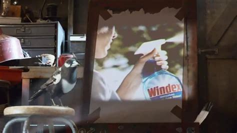 Lightens and brightens your home leaving it sparkling clean, leaves a fresh and pleasant fragrance. Windex TV Commercial, 'Say No to Clear Glass' - iSpot.tv