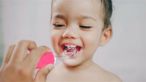 Dalam kedokteran gigi seperti pembentukan dibagi dengan samping dan depan. Umur Berapa Gigi Susu Anak Pertama Kali Tanggal ...