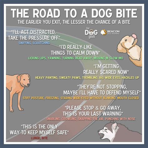 Aggression in dogs is defined as a threat of harmful behavior directed at another animal or person. Dog Aggression Ladder