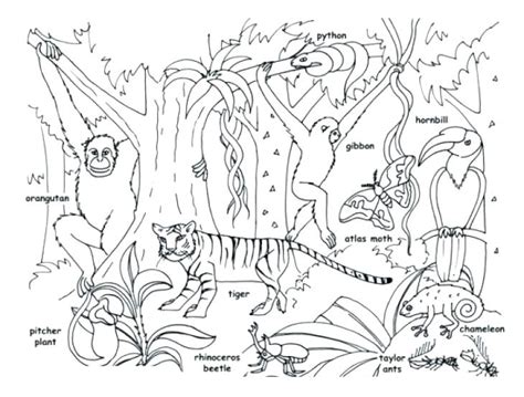 I hope you and your kids will enjoy our drawings. Jungle Coloring Pages For Preschoolers at GetDrawings | Free download