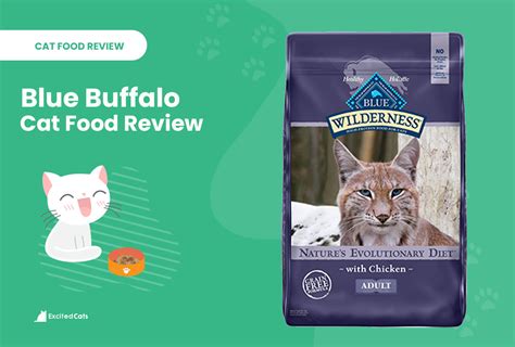 The we're all about cats standard is at the heart of all our brand reviews. Blue Buffalo Cat Food Review 2021: Recalls, Pros & Cons ...