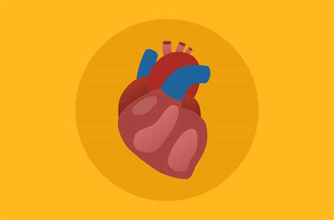 Gambar embun tali jantung dekat lukisan patung seni. Gambar Jantung Animasi