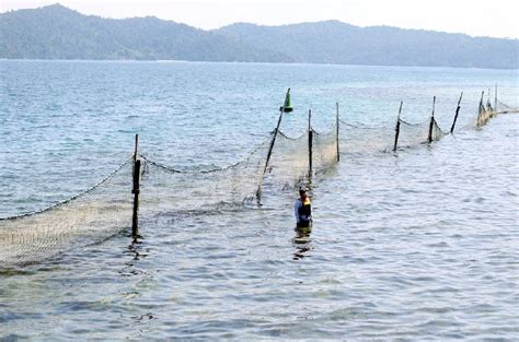 Balai berita 31, jalan riong. Sabah Resorts Set Up Their Own Nets To Prevent Garbage ...