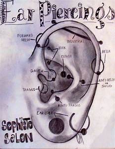 Ear Piercings Ear Piercings Chart Piercing Ear Piercings