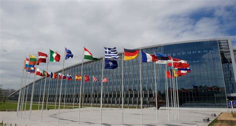 The north atlantic treaty organization (nato); Jak dostosować NATO do nieprzewidywalnego i szybko ...