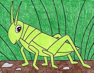 Add more detail and add the ground. How to Draw a Grasshopper (Art Projects for Kids) en 2020