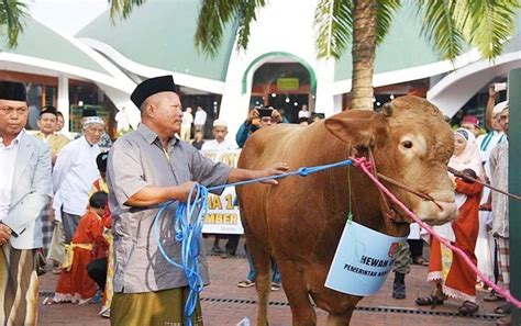 Orang yang melangsungkannya, bagi masyarakat sekitarnya. 7 Hikmah Berkurban Dalam Islam dan Dalilnya yang Bisa Kita ...