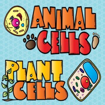 Another interesting fact about plant cells is the many ways they have found to adapt to different environments. Pin on Science