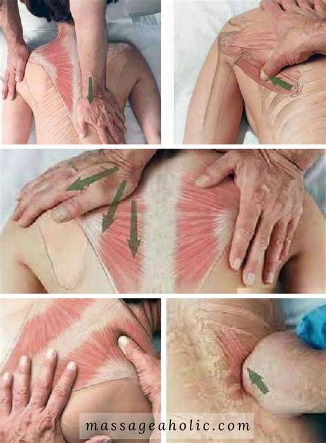 One should always follow the correct steps while doing baby massage. How to Give a Full Body Massage:Step By Step Instruction ...
