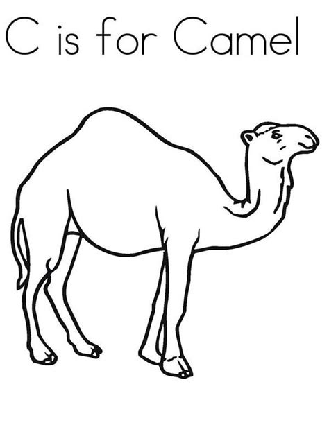 How many humps does alice the camel have? C Is For Camel Coloring Page - Download & Print Online ...