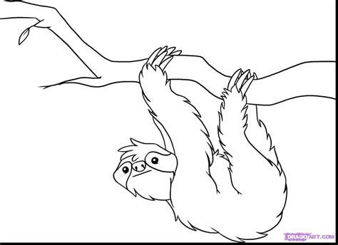 Coloring pages rainforest animals colouring pages coloring page 6 amazon rainforest. Rainforest Animals Coloring Pages - NEO Coloring