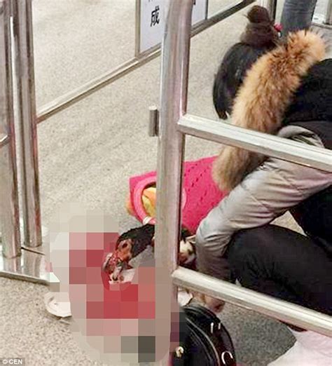 Do come down before you injure yourself. Chinese woman kills live duck at train station so she ...