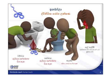 The collection of viruses found to infect humans (the human virome) can have profound effects on health. Ebola virus Sri Lanka- ඉබෝලා ( එබෝලා ) වෛරසය ශ්‍රී ලංකාව ...