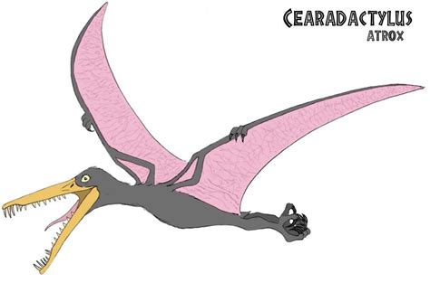 Cearadactylus is a genus of large early cretaceous (albian) pterosaurs from south america. Cearadactylus atrox | JPL Live the Legend Wiki | FANDOM ...