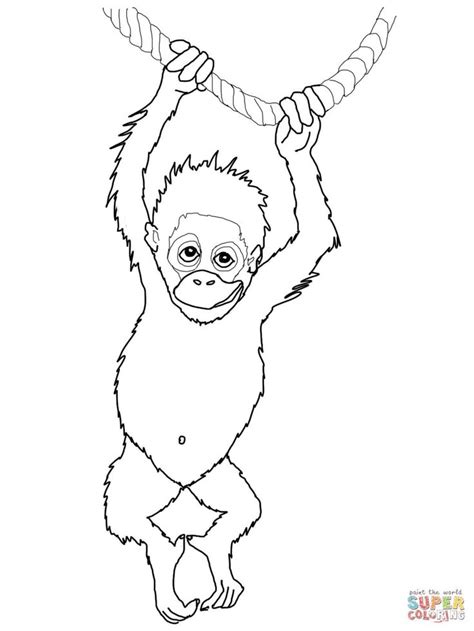Orangutan coloring pages are a fun way for kids of all ages to develop creativity, focus, motor skills and color recognition. Baby Orangutan coloring page from Orangutans category ...