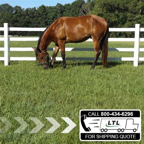 Protective fencing are the leading fencing supplies company in victoria with statewide distribution for local delivery of fencing supplies and products throughout geelong. Flex Fence® | Flexible Vinyl Horse Fencing | RAMM Horse ...