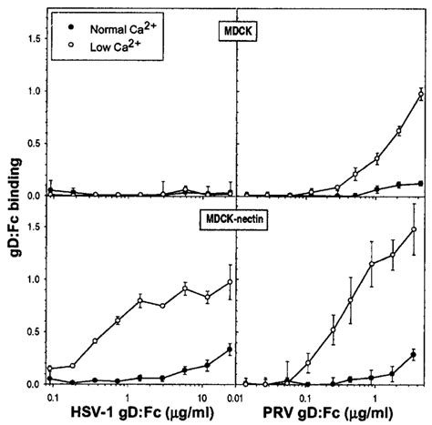 Complications result when internal organs are. Enhanced binding of HSV-1 gD:Fc and PRV-gD:Fc to MDCK ...