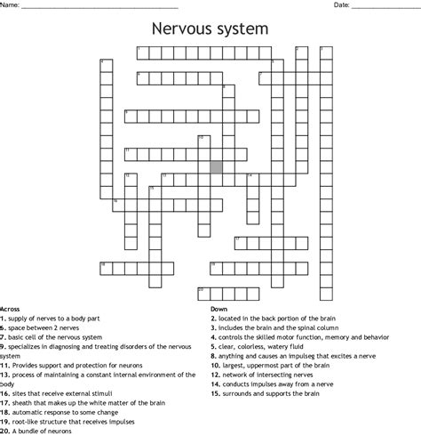 It comprises millions of neurones and uses electrical impulses to communicate very quickly. Nervous system Crossword - WordMint