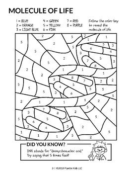 Select from 35970 printable crafts of cartoons, nature, animals, bible and many more. Color the DNA Worksheet (Pipette Kids Science Coloring ...