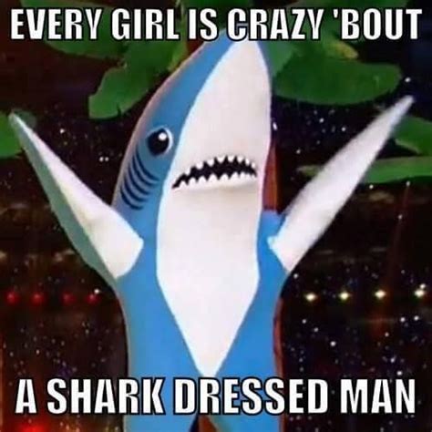 Save and share your meme collection! ZZ Top | Funny pictures, Left shark, Shark meme