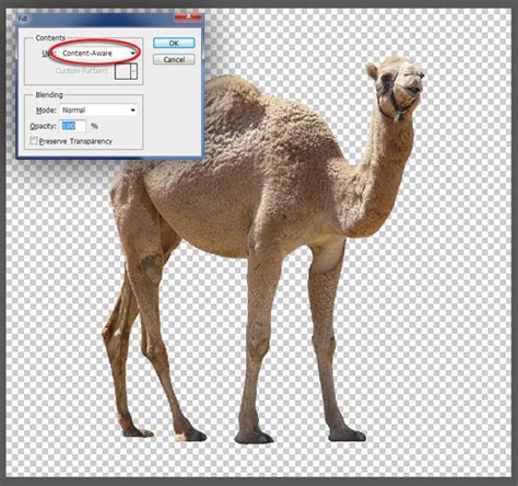 Classes can be kept camel case, giving a clearer difference between them and pro camelcase. Members Area Tutorial: Photo Manipulate a Magical Desert ...