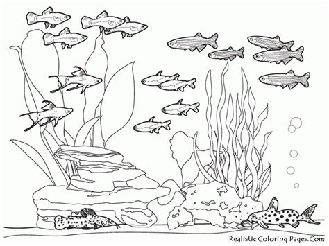 How to draw the ocean floor easy. Sea Floor Drawing at GetDrawings | Free download