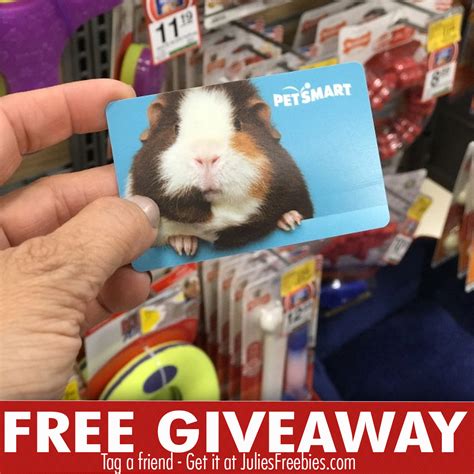 How many lives are saved every day at petsmart? PetSmart Gift Card Summer Giveaway - Julie's Freebies