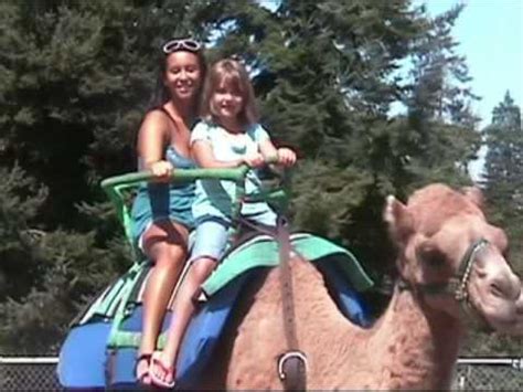 How many humps does alice the camel have? Sally the camel has gas...and no humps!! - YouTube